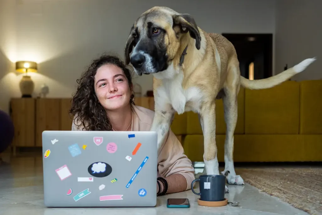 Stickers on laptop with dog 