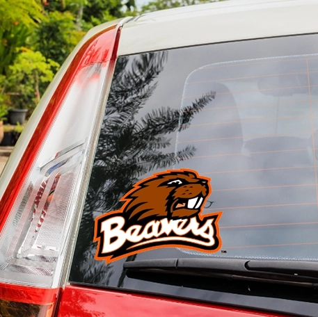 Beaver window decal on car